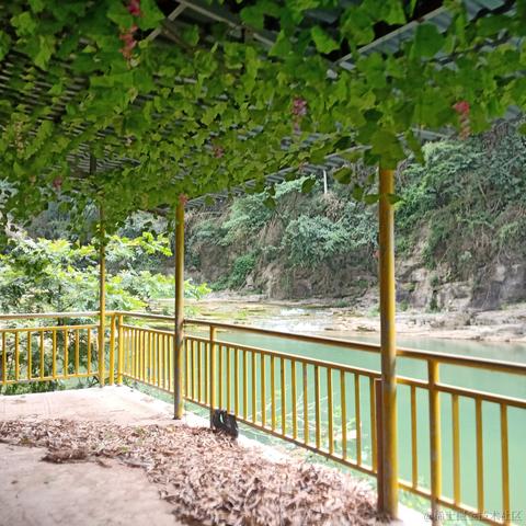 不是猪猪于2023-06-30 12:03发布的图片