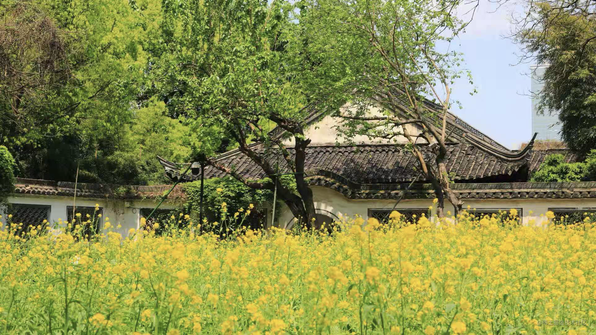 掘力计划二期的关于技术写作的观后感，及常见QA｜创作者训练营第二期-一一网