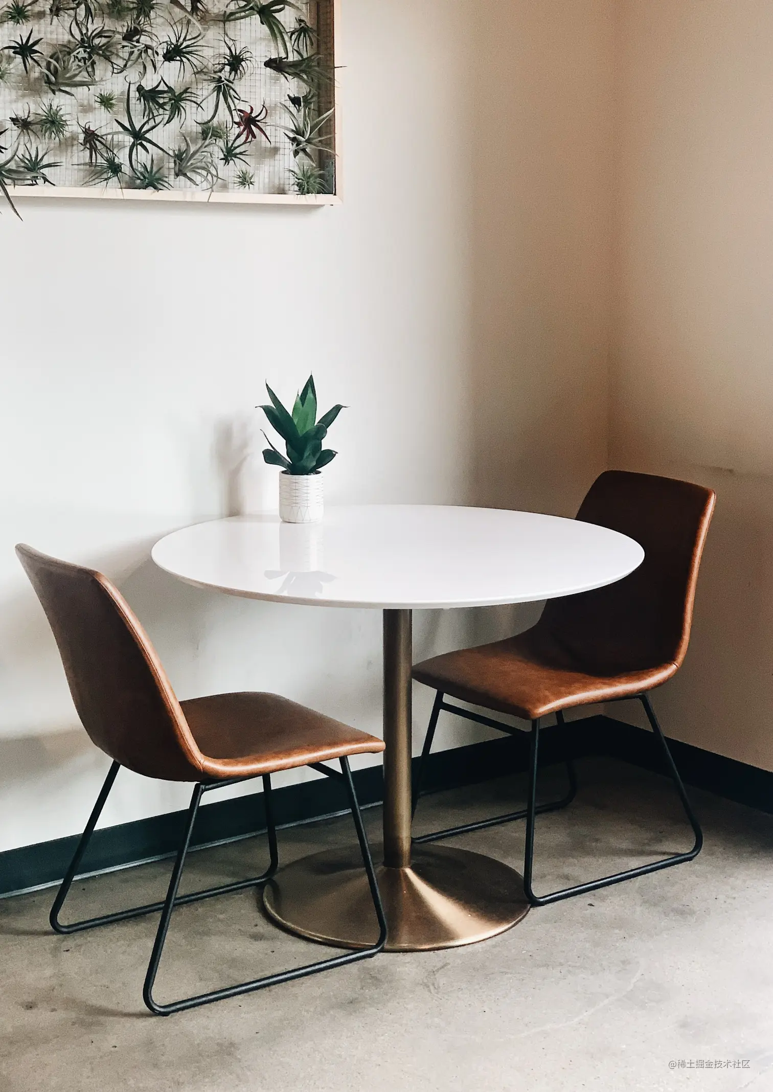 Two brown backed leather chairs with a black frame and legs around a white table with a decorative green succulent plant in a white vase.