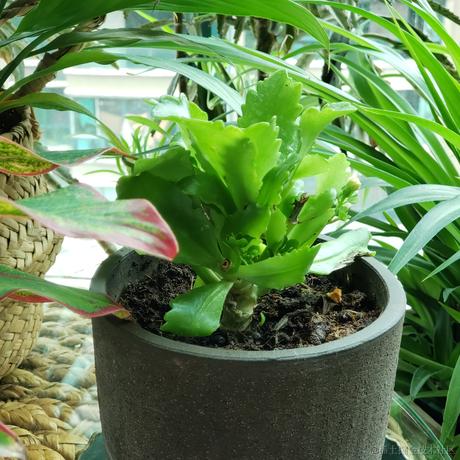 晚子不可以于2022-11-28 11:49发布的图片