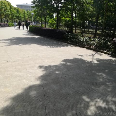 伦伦吖于2022-05-12 04:58发布的图片