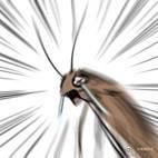 Roach于2022-12-24 15:37发布的图片