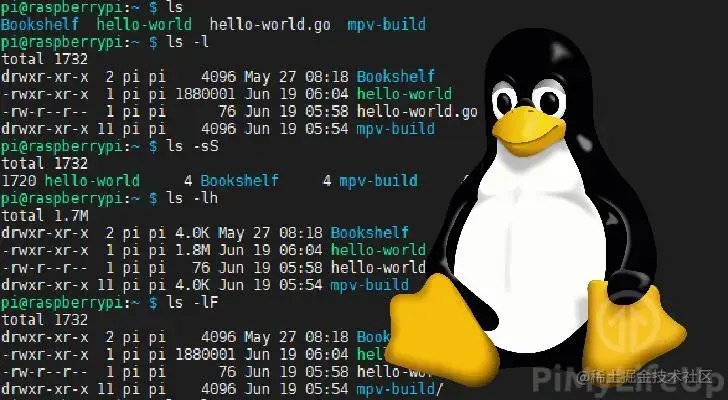 linux基础命令和实操专栏