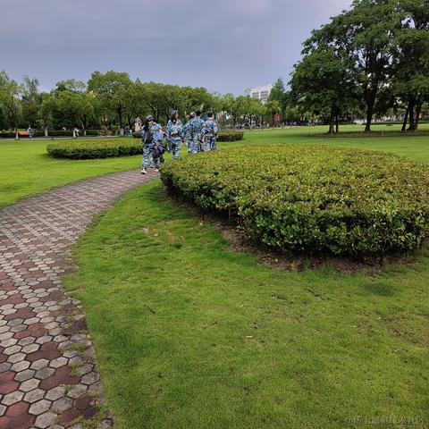 会发光的CaF2于2023-07-07 18:50发布的图片