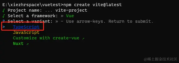 选择TypeScript
