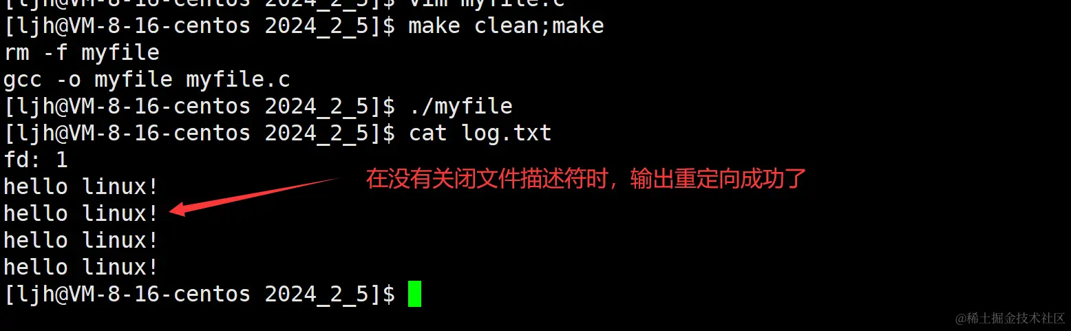 image-20240206044036382