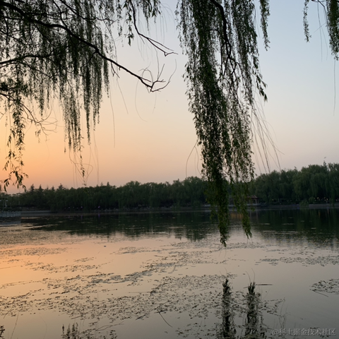 小欣幸于2022-05-01 08:38发布的图片