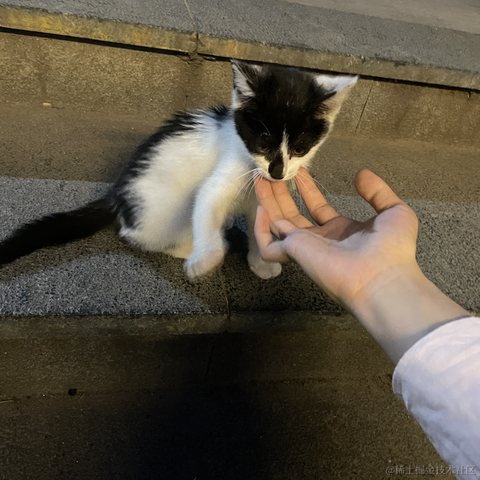 找不到我找不到我于2022-06-06 20:01发布的图片