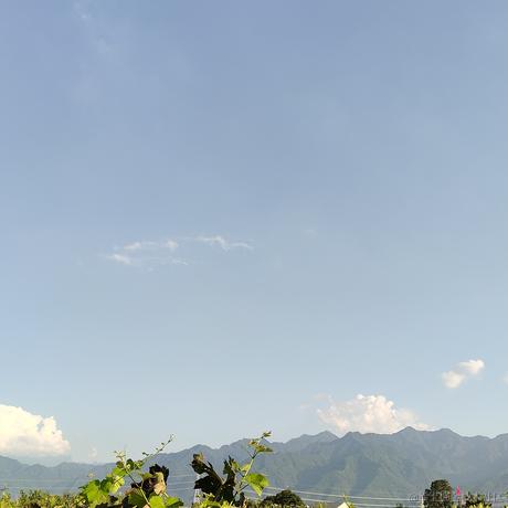 ToTheMoon于2023-08-17 17:47发布的图片