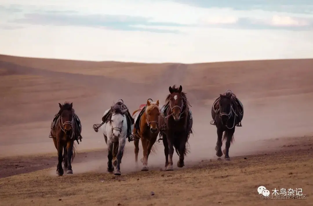 呼伦贝尔黑山头，自己跑回家的马