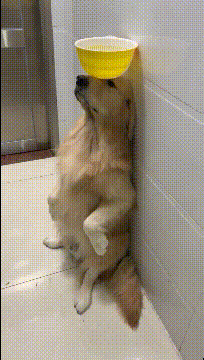 别再花时间统计考勤数据了，这个报表统计神器才是你最后出路