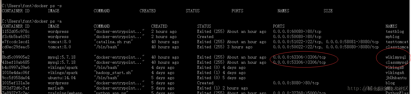 检查刚刚创建的容器