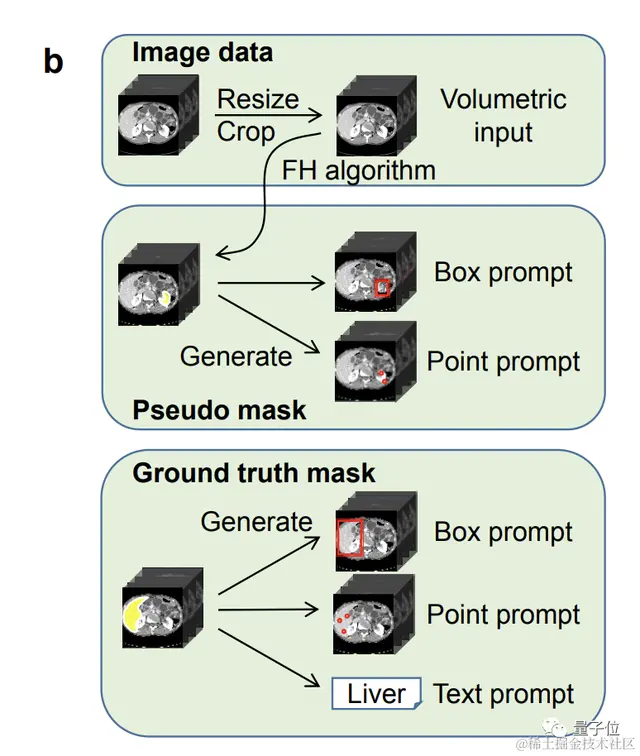 医学通用分割模型来了！一口气分割200多个解剖类别，发布即开源 | 智源出品