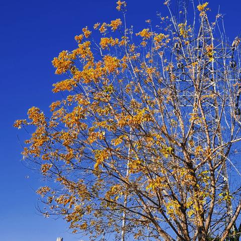 小栗帽永远的神于2022-11-20 11:47发布的图片