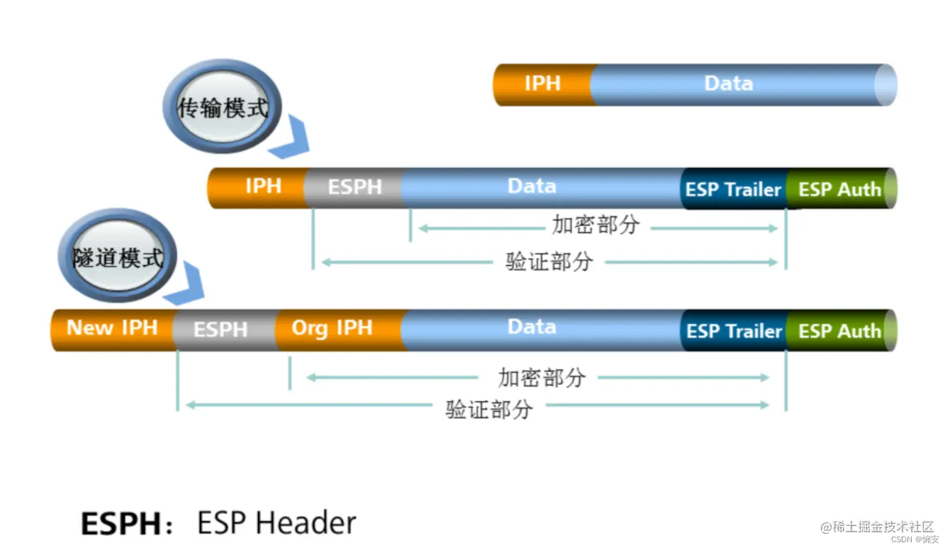 [外链图片转存失败,源站可能有防盗链机制,建议将图片保存下来直接上传(img-C0oRjjOl-1660101838492)(assets/image-20220805161142382.png)]