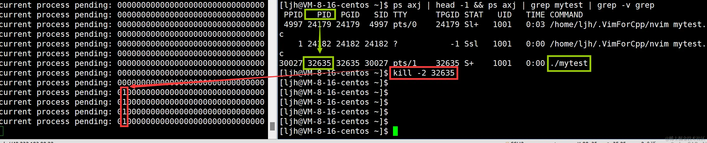 image-20240211200411806