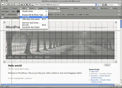 Web 开发者工具栏