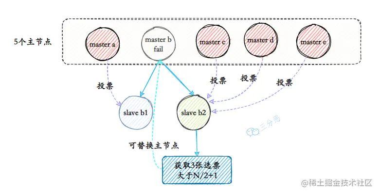 选举投票