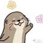 乃王木木于2022-11-21 20:54发布的图片