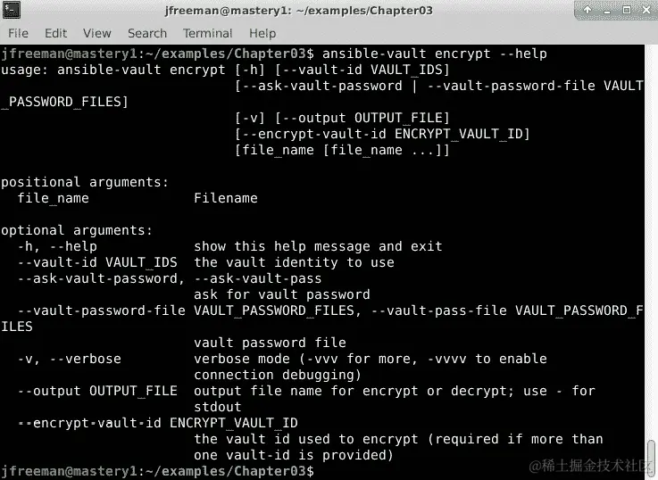 图 3.7 - Ansible Vault encrypt 子命令的可用选项