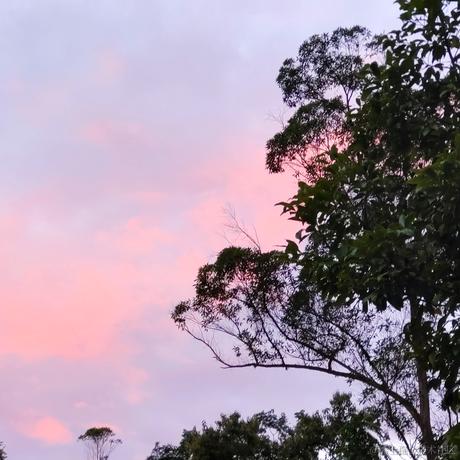 AVA向晚大魔王于2022-11-24 00:12发布的图片