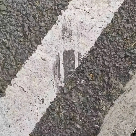 跟我一起秃秃秃于2022-12-22 13:05发布的图片