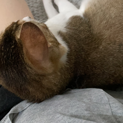 我是个靓崽于2023-04-27 22:29发布的图片