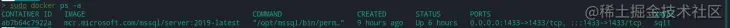 Docker Container MSSQL Instance In terminal