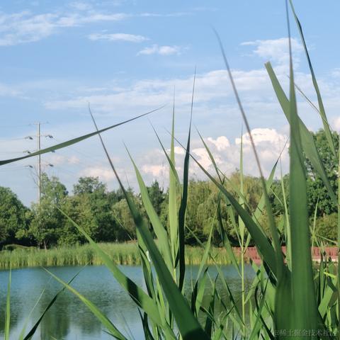 __Petrichor于2024-07-04 17:50发布的图片