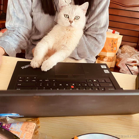 用户5832511041996于2023-02-09 02:22发布的图片