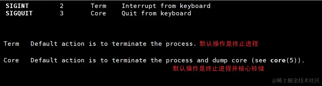 image-20240211000741476