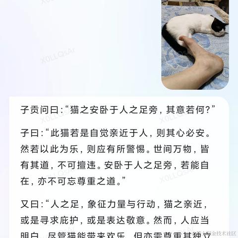 独立开发者张张于2023-06-30 23:13发布的图片