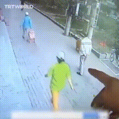 优秀稳妥的小鳄鱼于2024-04-03 09:04发布的图片