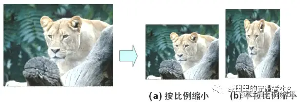 enter description here