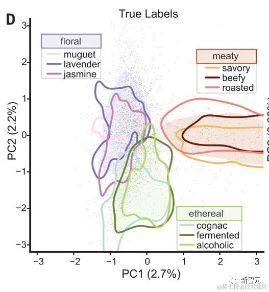 气味感知距离和层次