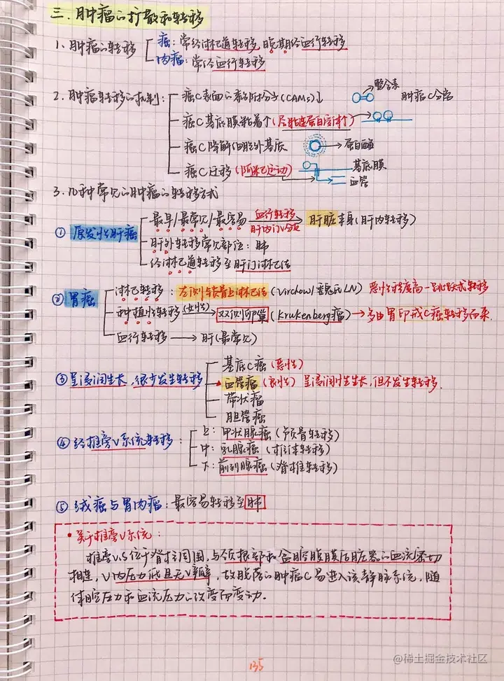 病理手写笔记.pdf