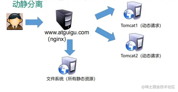 image-20220213101819072