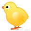 baby_chick