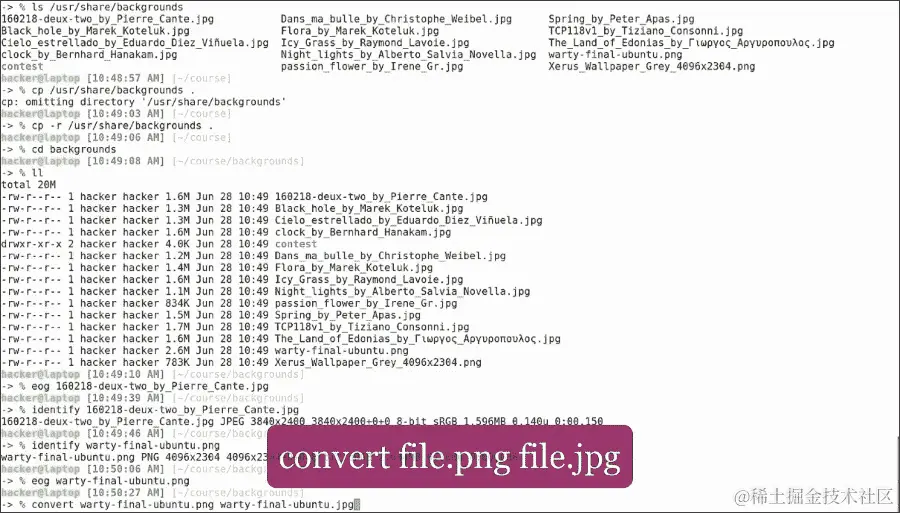缩小咒语和其他 ImageMagick