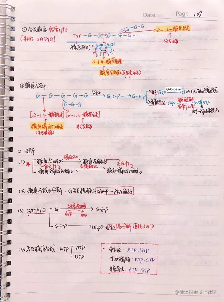 生化手写笔记.pdf