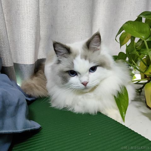 拉腰子于2021-10-27 19:04发布的图片