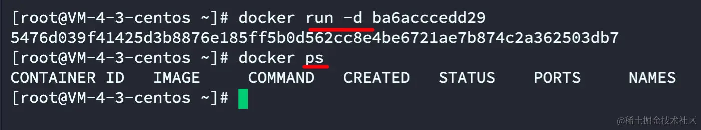 image-20220324151903595