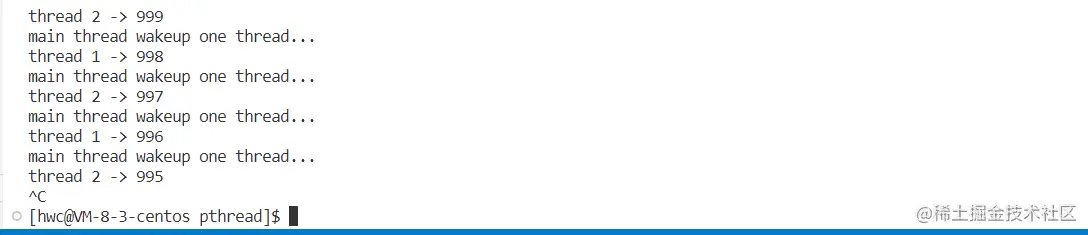 image-20230420000722967