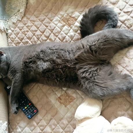 然比然比妈妈爱你于2022-12-02 16:21发布的图片