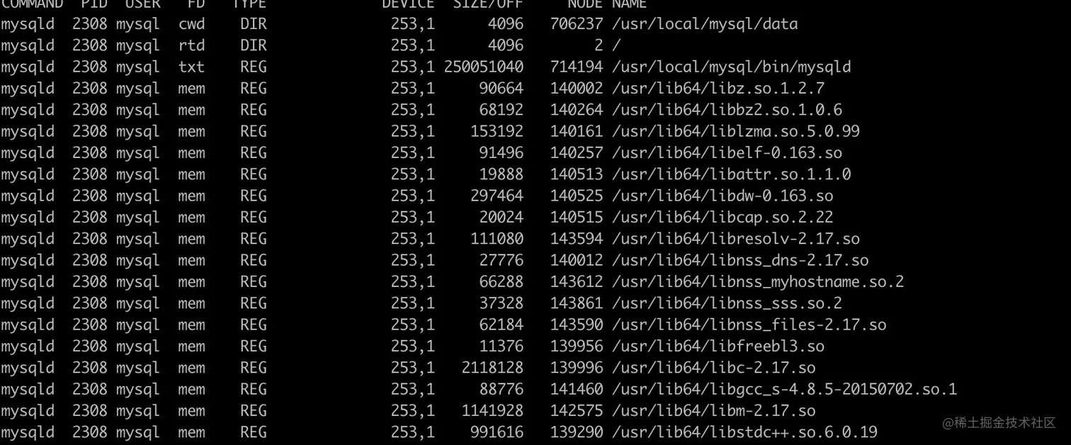 image-20210314225851069