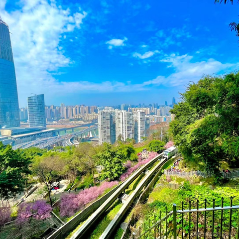 上东我锐仔于2023-03-15 01:09发布的图片