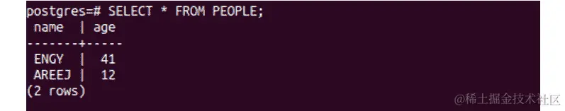 图 7.5：SELECT 语句的输出