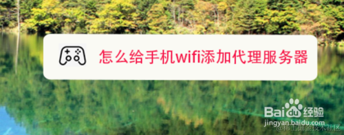 怎么给手机wifi添加代理服务器
