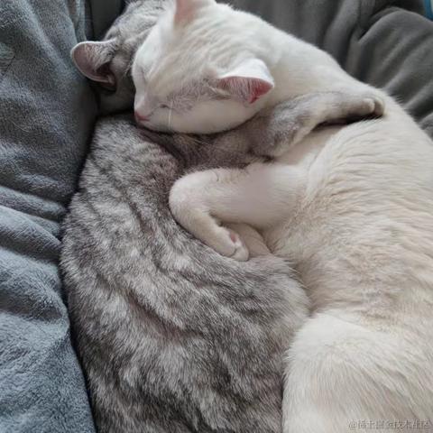 今天你写bug了嘛于2021-10-27 18:00发布的图片