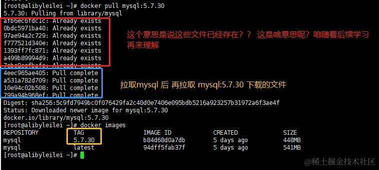 image-20200521113845254